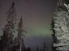 IMG-20250316-WA0035